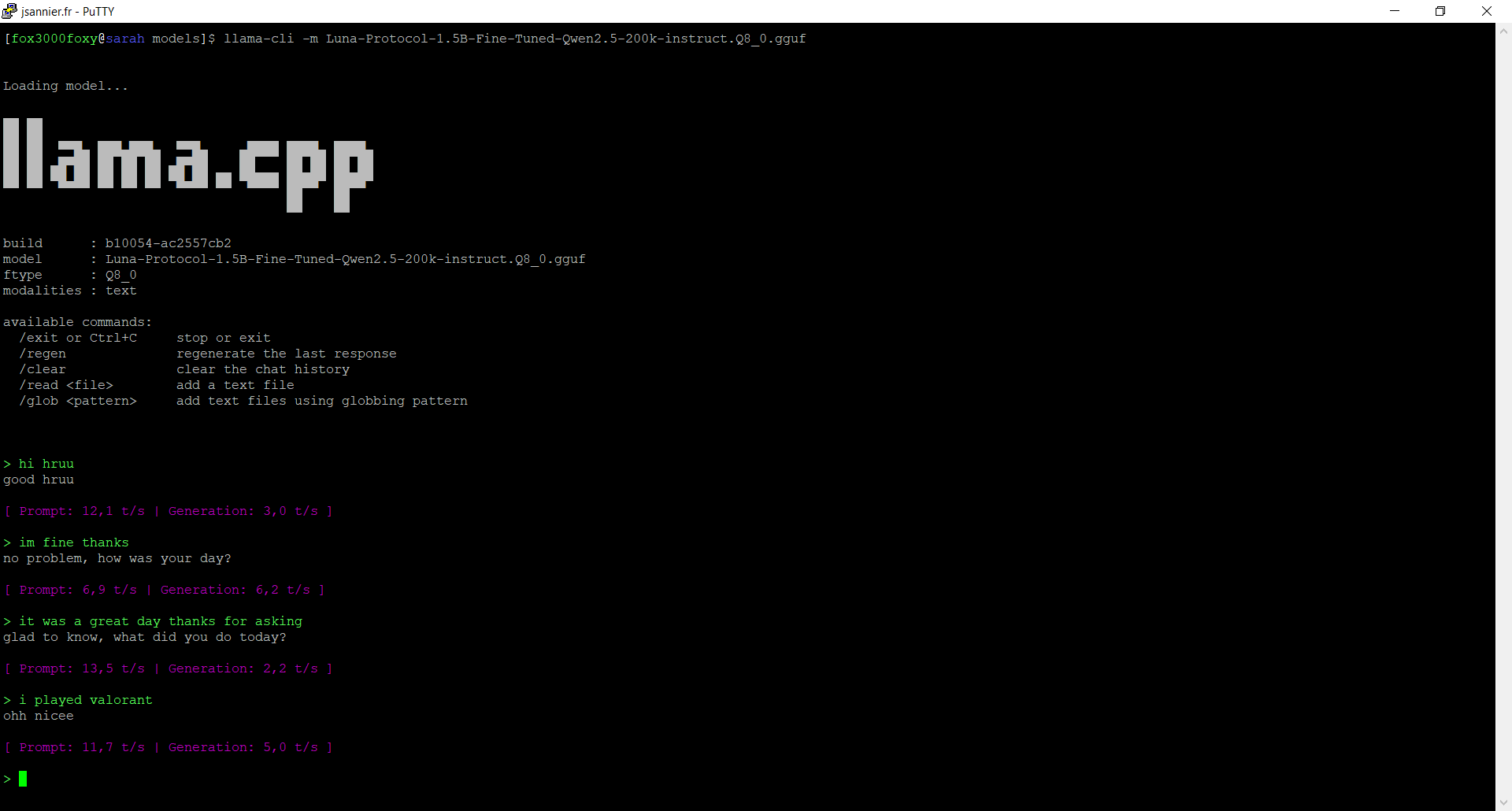 Raw model output in llama-cli terminal